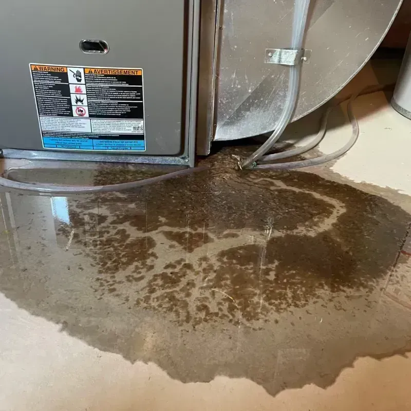 Appliance Leak Cleanup in Rochester, IL